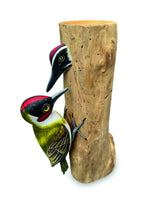 WOOD PECKER AND CHICK LARGE 28CM