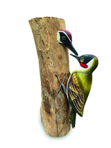 WOOD PECKER AND CHICK LARGE 28CM