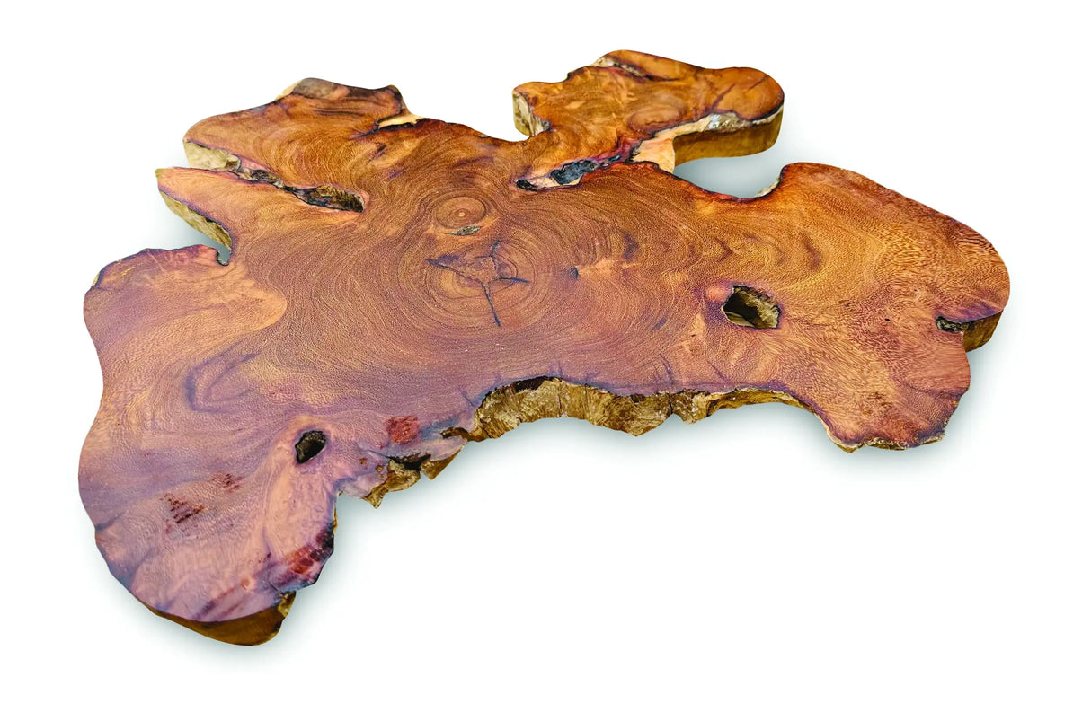TREE ROOT SLICE PLACEMATS LARGE SIZE 30-35CM