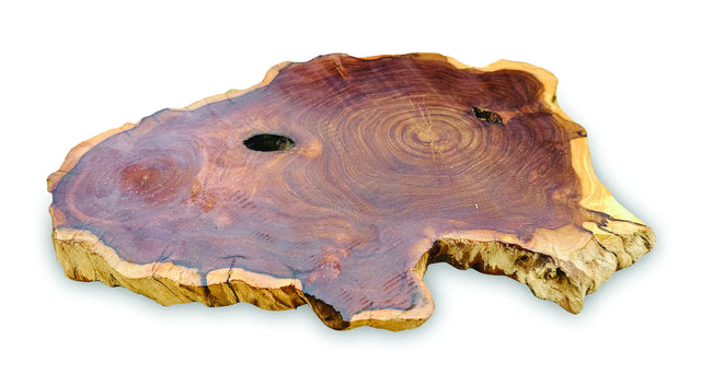 TREE ROOT SLICE PLACEMATS LARGE SIZE 30-35CM