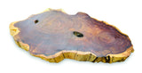 TREE ROOT SLICE PLACEMATS LARGE SIZE 30-35CM