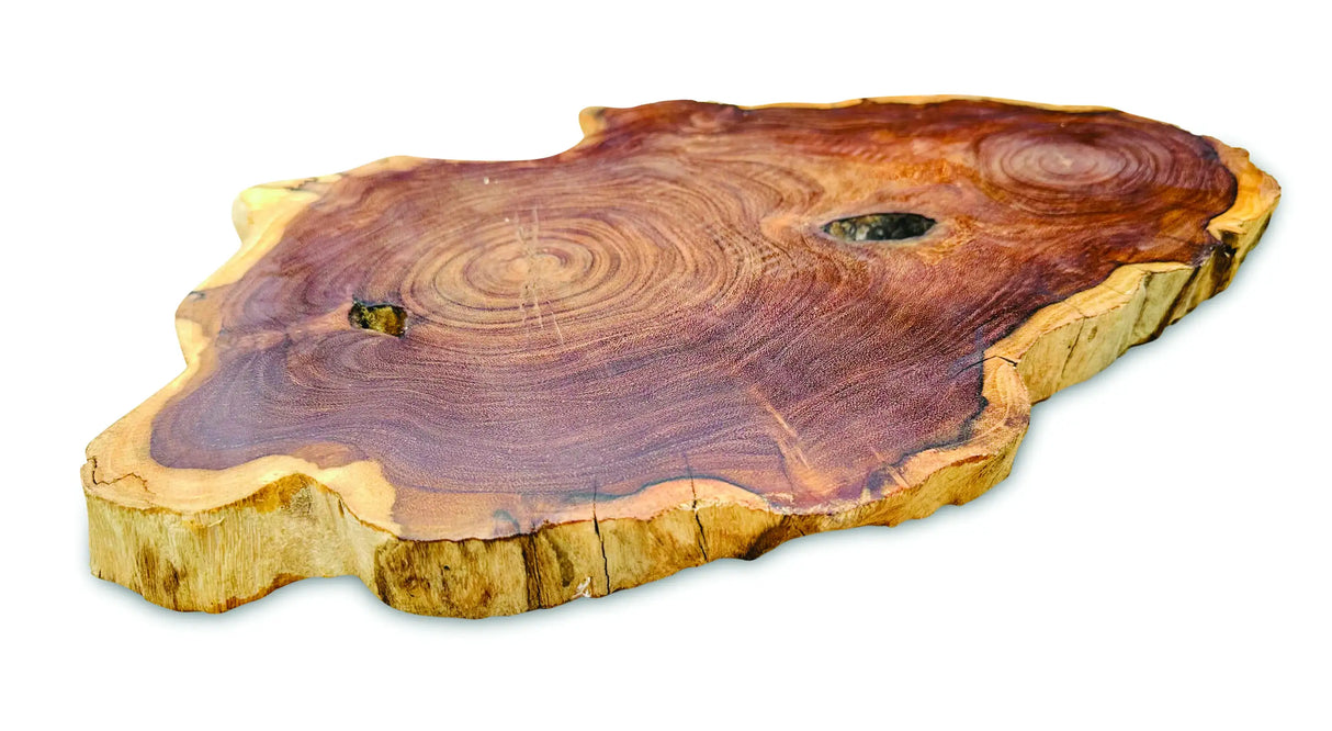 TREE ROOT SLICE PLACEMATS LARGE SIZE 30-35CM