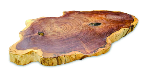 TREE ROOT SLICE PLACEMATS LARGE SIZE 30-35CM