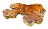 TREE ROOT SLICE PLACEMATS LARGE SIZE 30-35CM