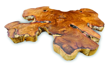 TREE ROOT SLICE PLACEMATS LARGE SIZE 30-35CM