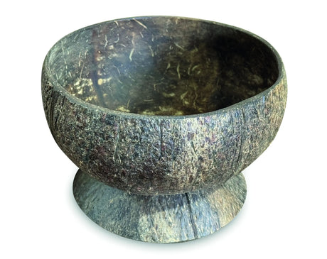 NATURAL COCONUT BOWL WITH COCONUT BASE