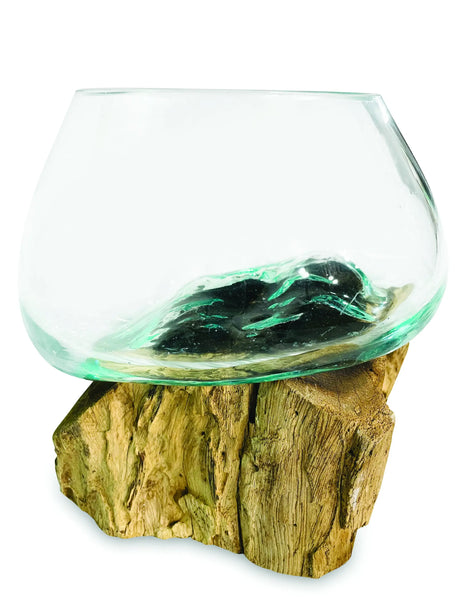 ROOT WITH GLASS BOWL SMALL