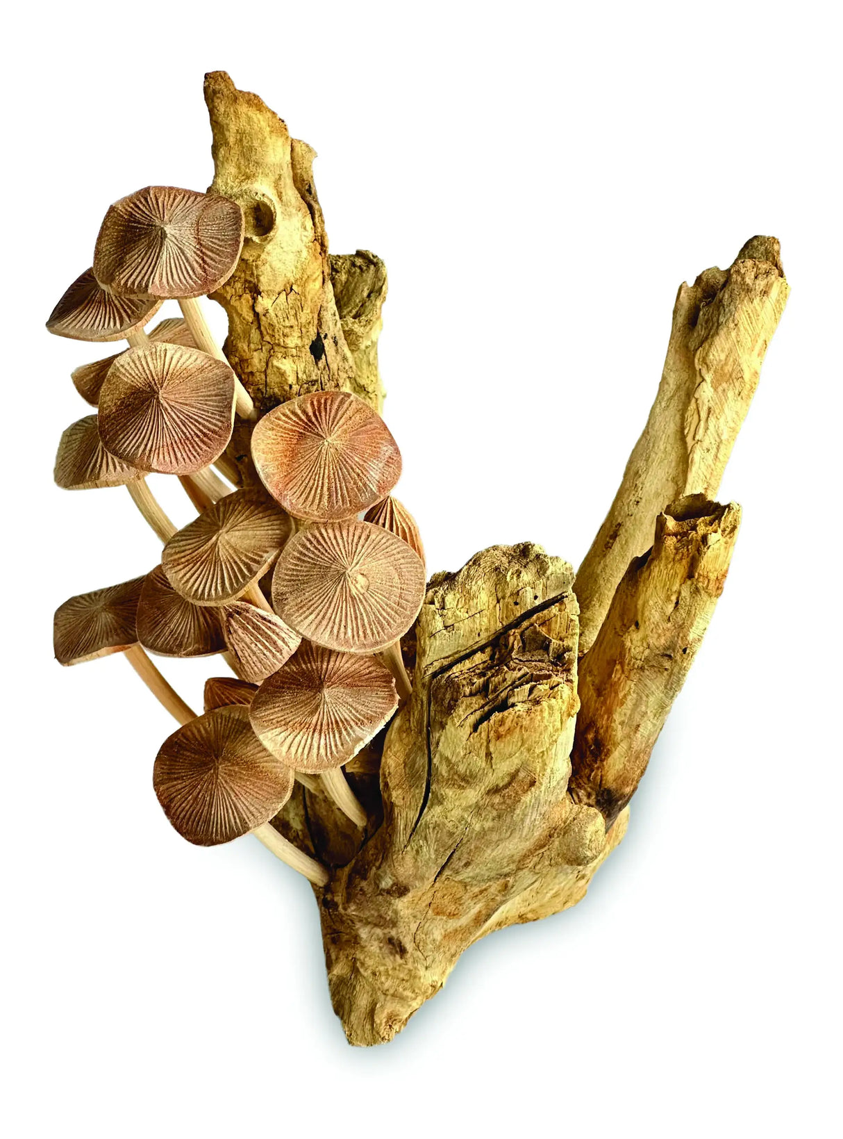 NO 15, MUSHROOM SCULPTURE, 28CM APPROX