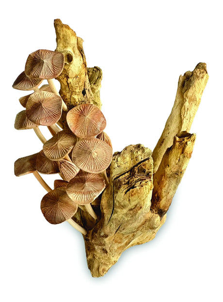 NO 15, MUSHROOM SCULPTURE, 28CM APPROX