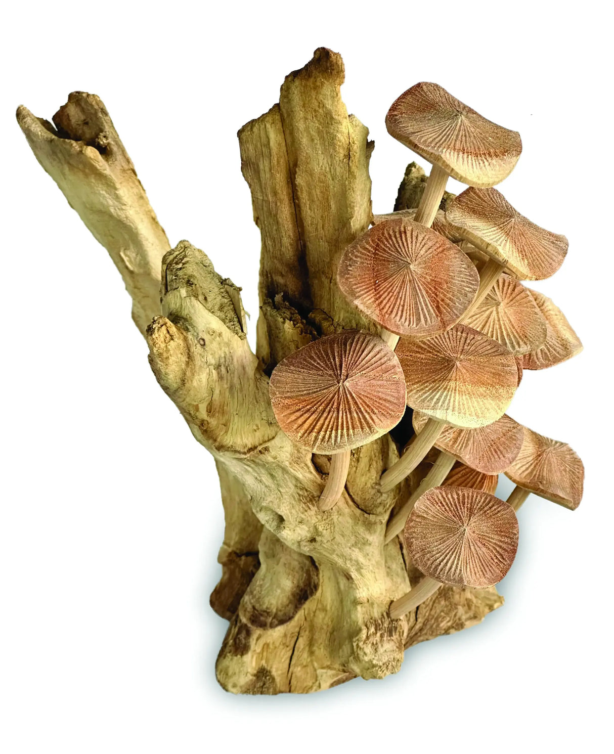 NO 15, MUSHROOM SCULPTURE, 28CM APPROX