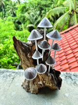 INK CAP MUSHROOM COLONY DRIFTWOOD SCULPTURE H 30CM