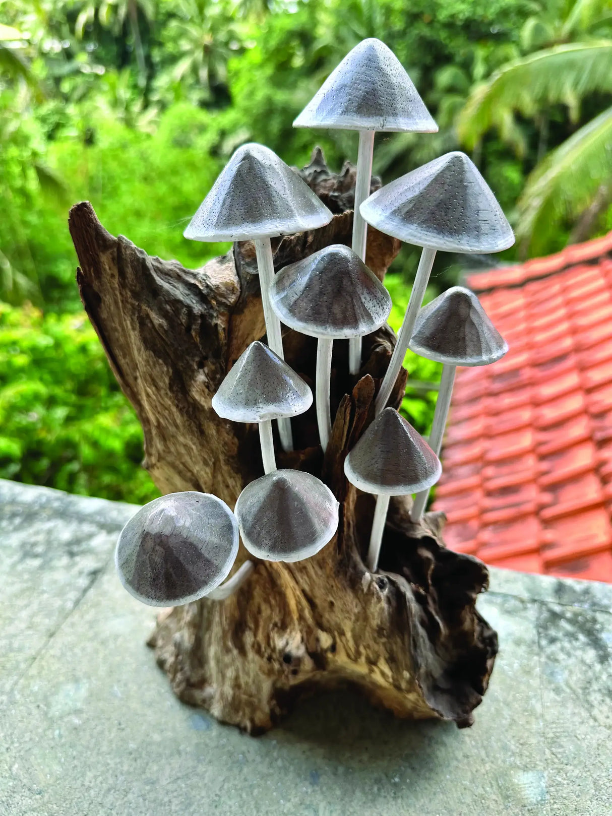 INK CAP MUSHROOM COLONY DRIFTWOOD SCULPTURE H 30CM