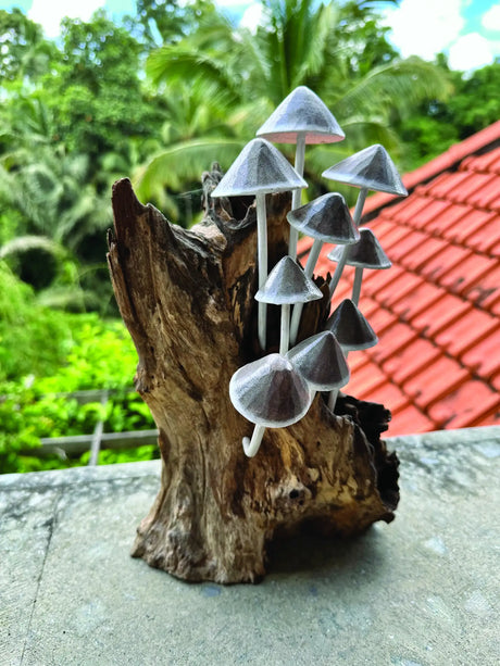 INK CAP MUSHROOM COLONY DRIFTWOOD SCULPTURE H 30CM