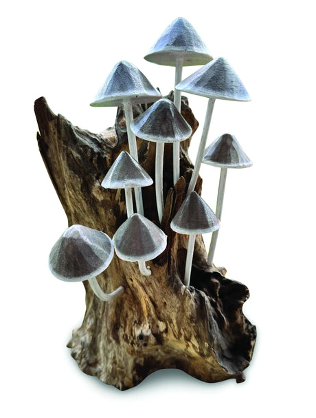 INK CAP MUSHROOM COLONY DRIFTWOOD SCULPTURE H 30CM