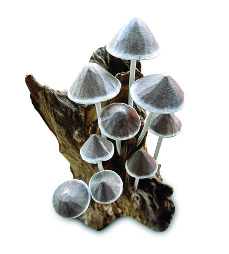 INK CAP MUSHROOM COLONY DRIFTWOOD SCULPTURE H 30CM