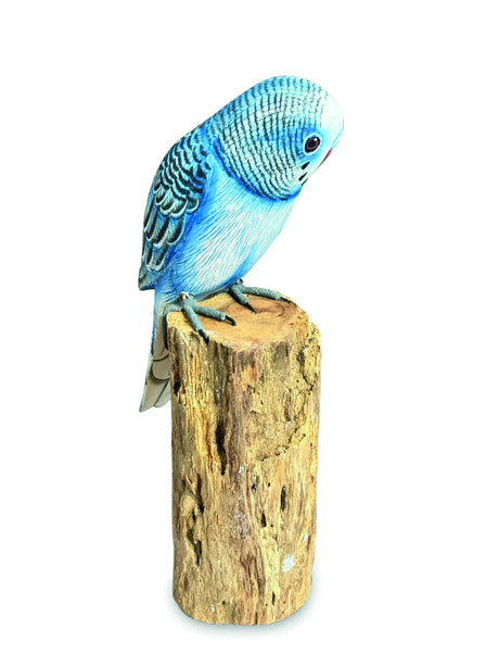 BLUE BUDGIE 20cm