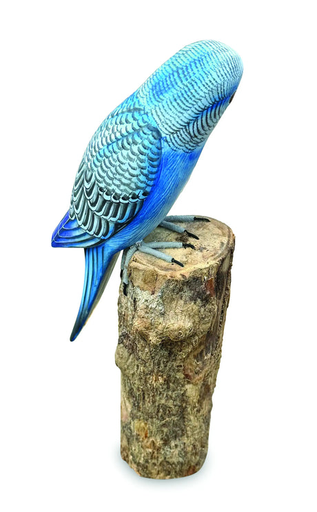 BLUE BUDGIE 20cm