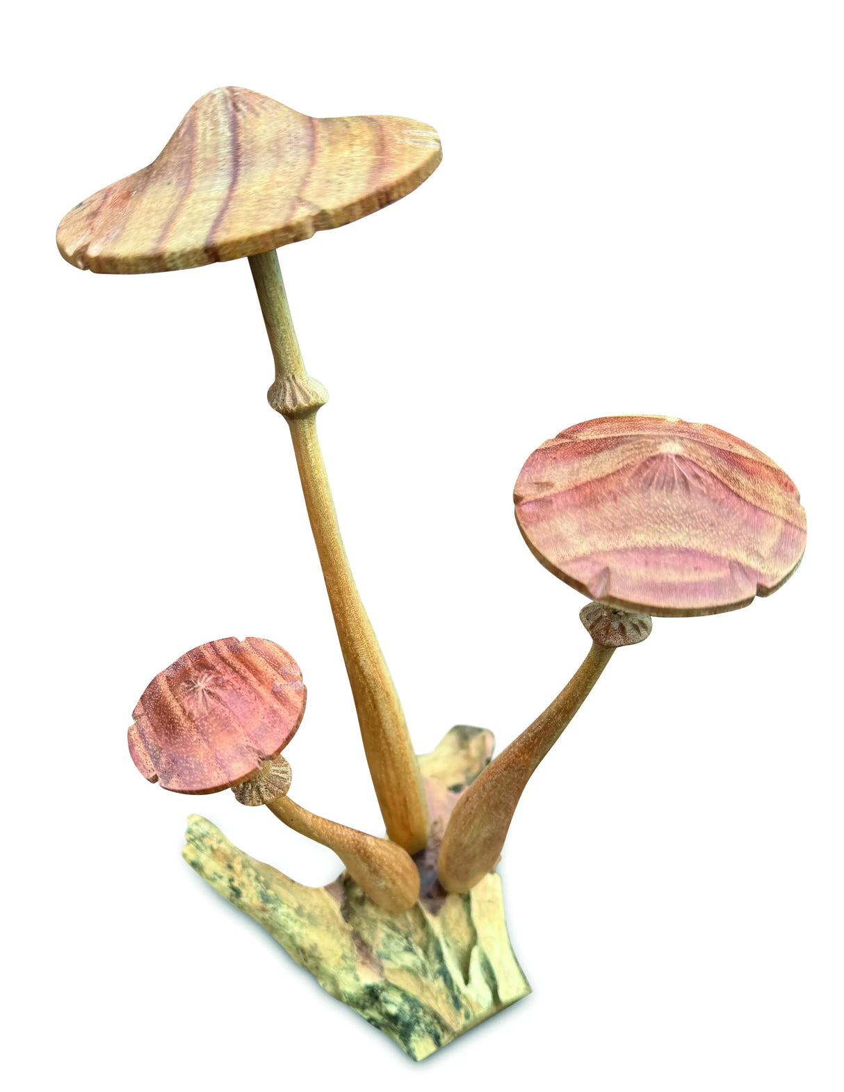 HONEYCUP MUSHROOM SCULPTURE 20cm.