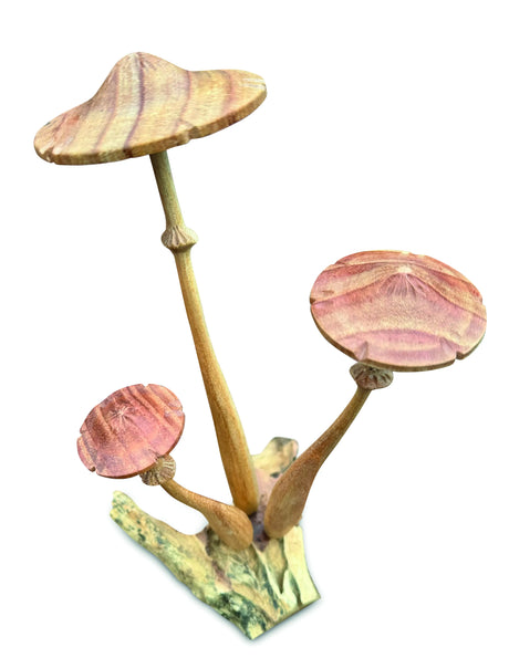 HONEYCUP MUSHROOM SCULPTURE 20cm.