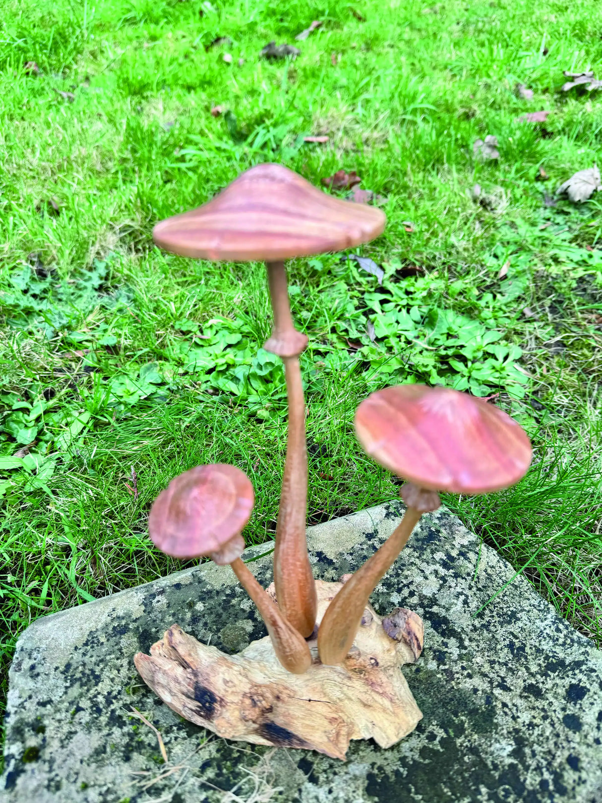 HONEYCUP MUSHROOM SCULPTURE 20cm.