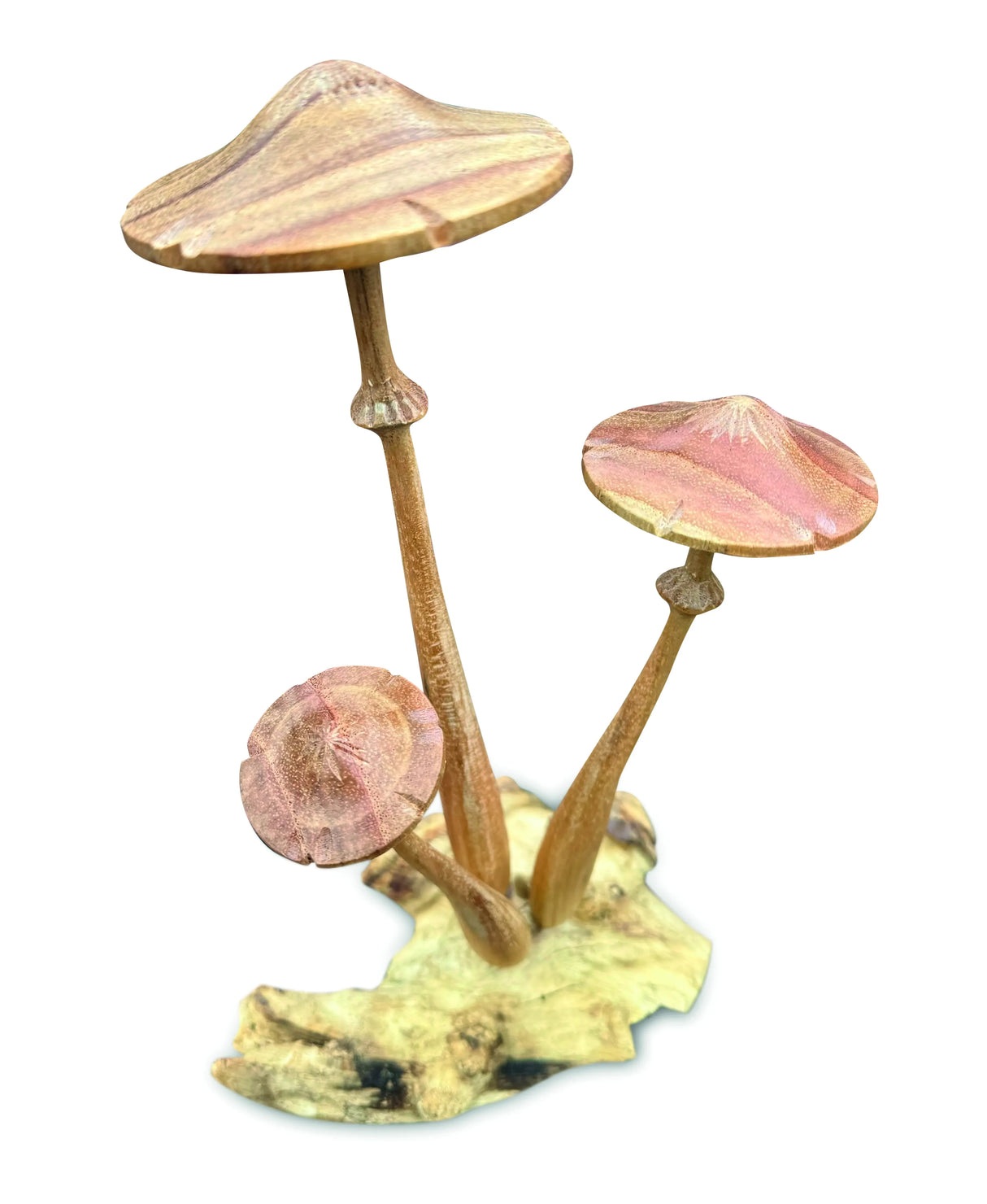 HONEYCUP MUSHROOM SCULPTURE 20cm.