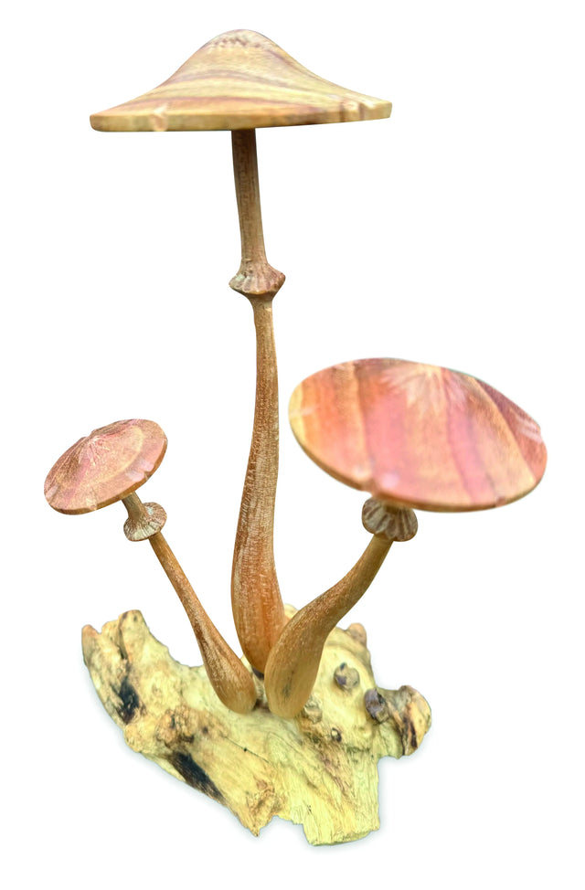 HONEYCUP MUSHROOM SCULPTURE 20cm.