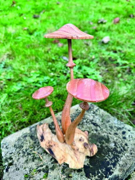 HONEYCUP MUSHROOM SCULPTURE 20cm.