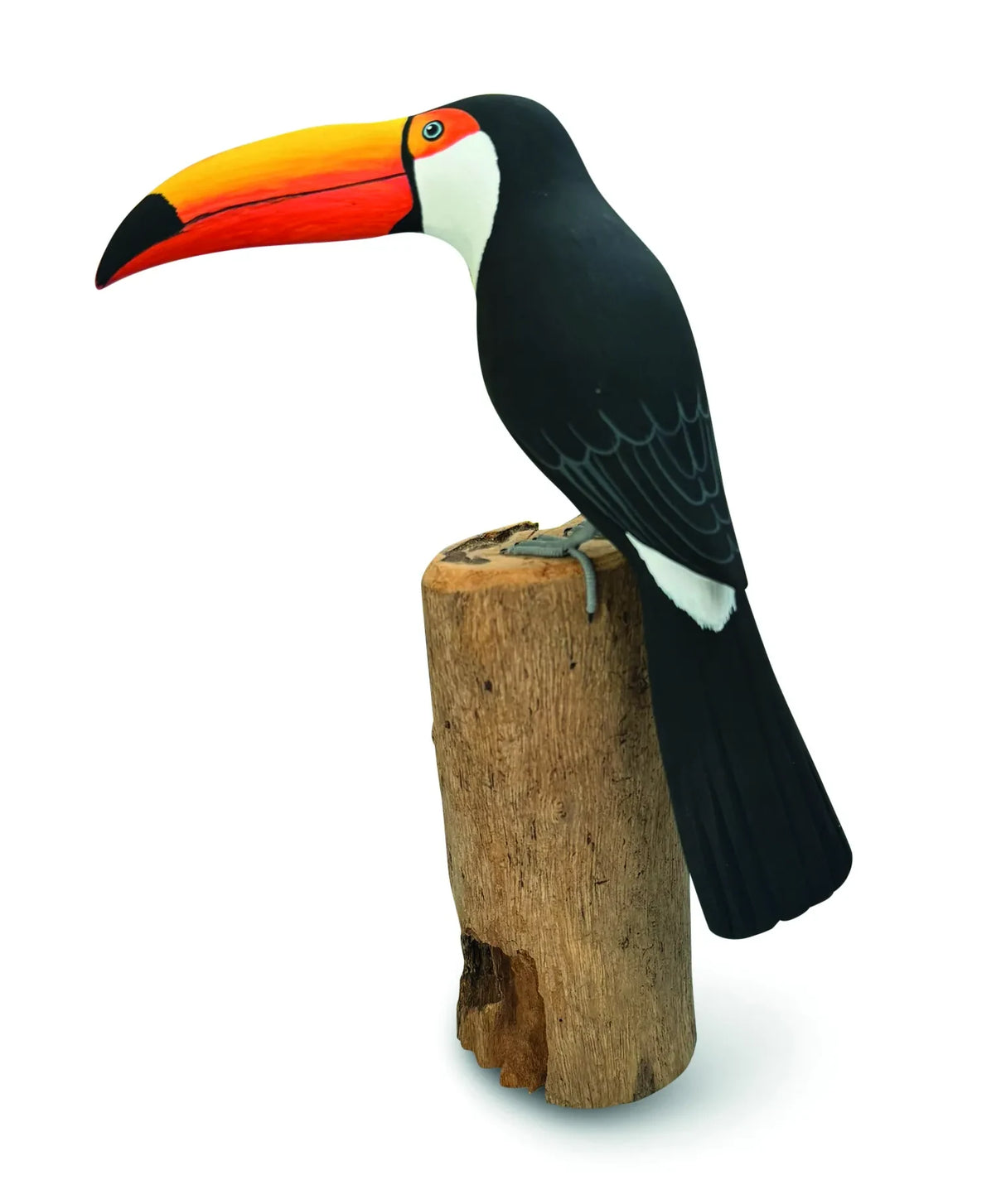 TOUCAN