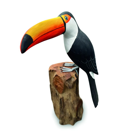 TOUCAN