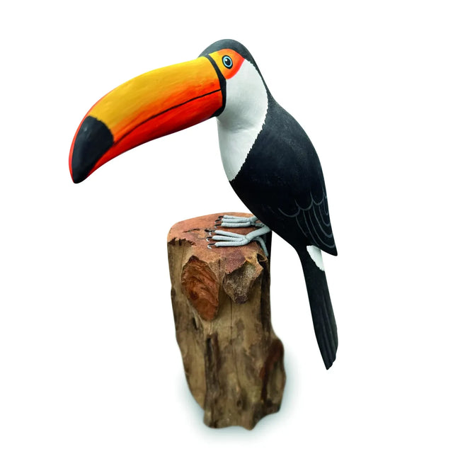 TOUCAN