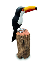 TOUCAN