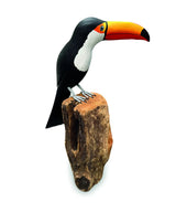 TOUCAN
