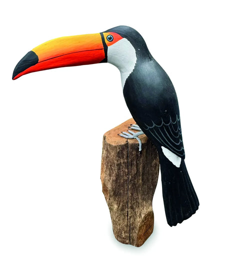 TOUCAN