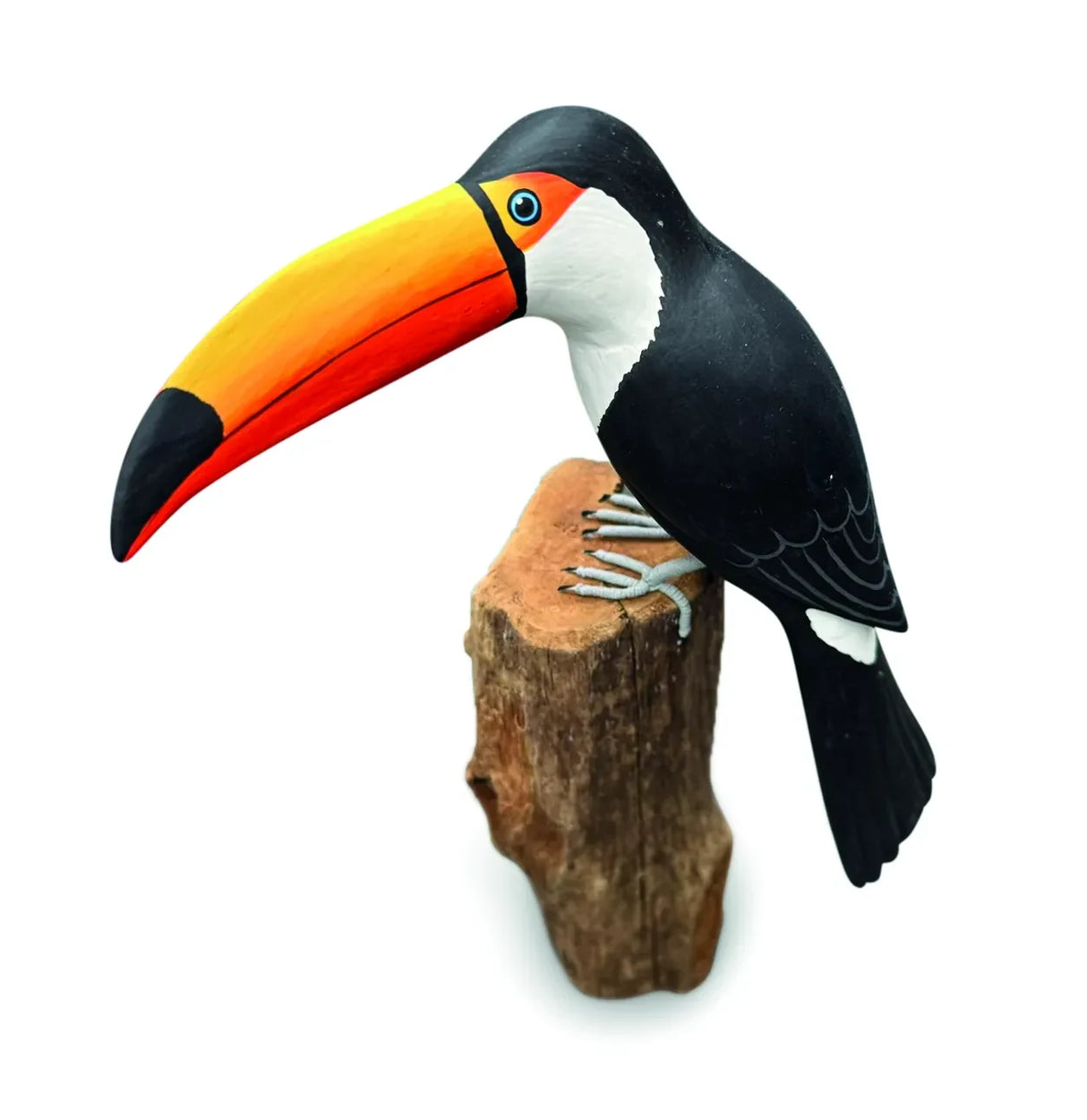 TOUCAN