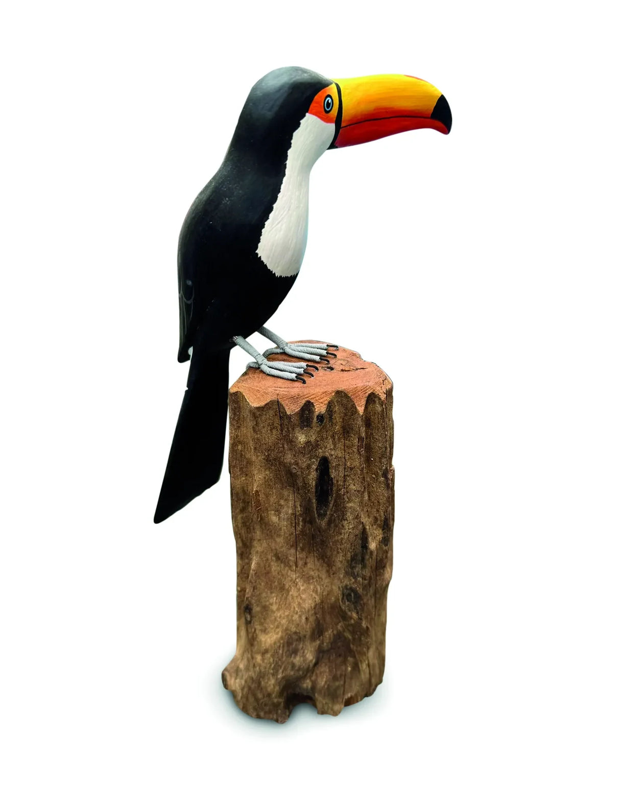 TOUCAN