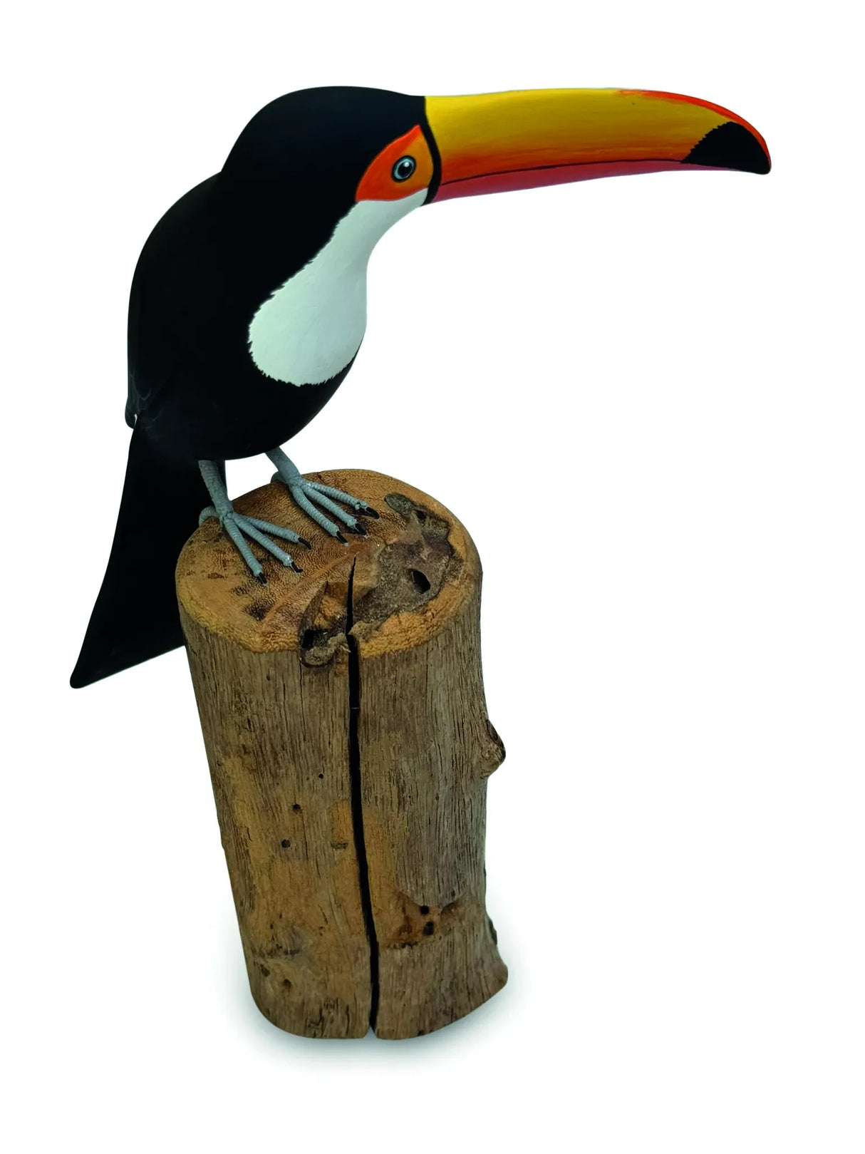 TOUCAN