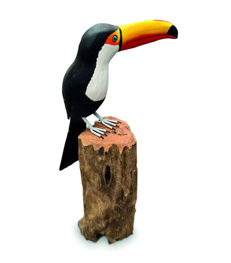 TOUCAN