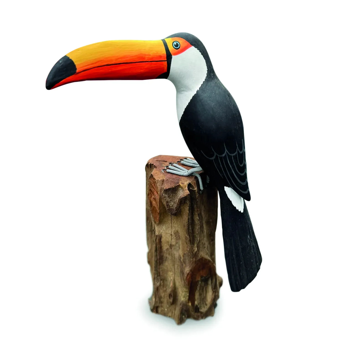 TOUCAN