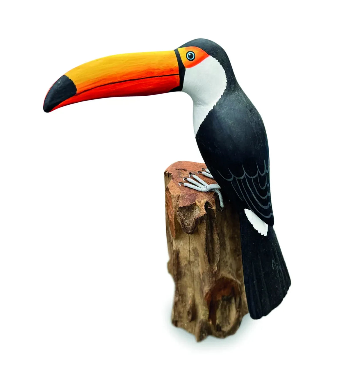 TOUCAN