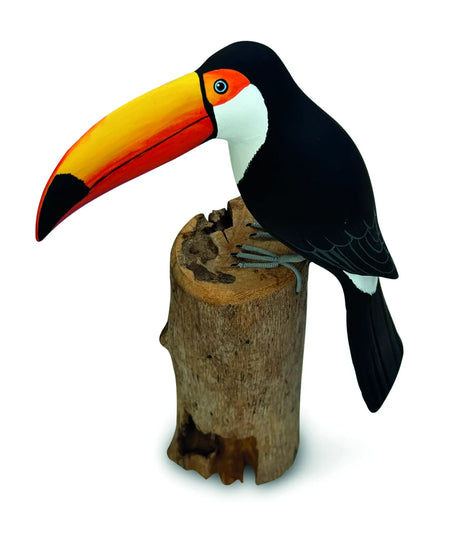 TOUCAN