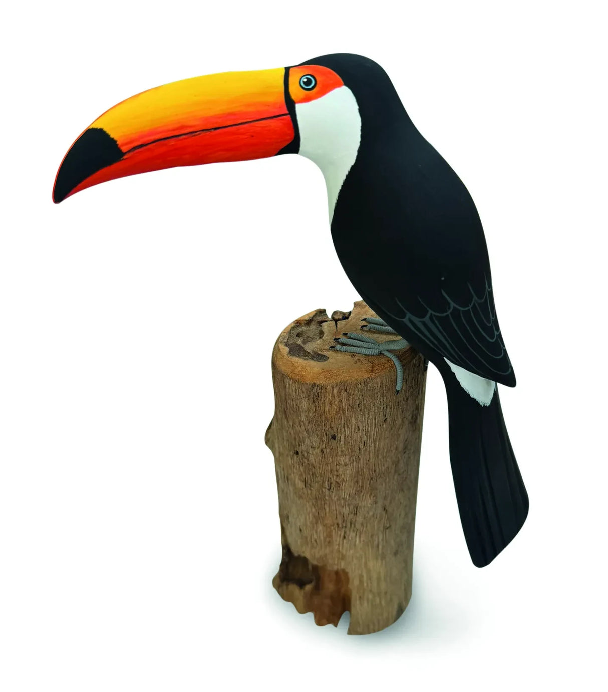 TOUCAN