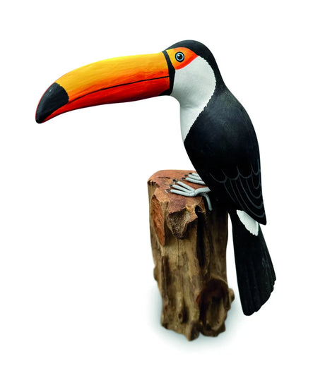 TOUCAN