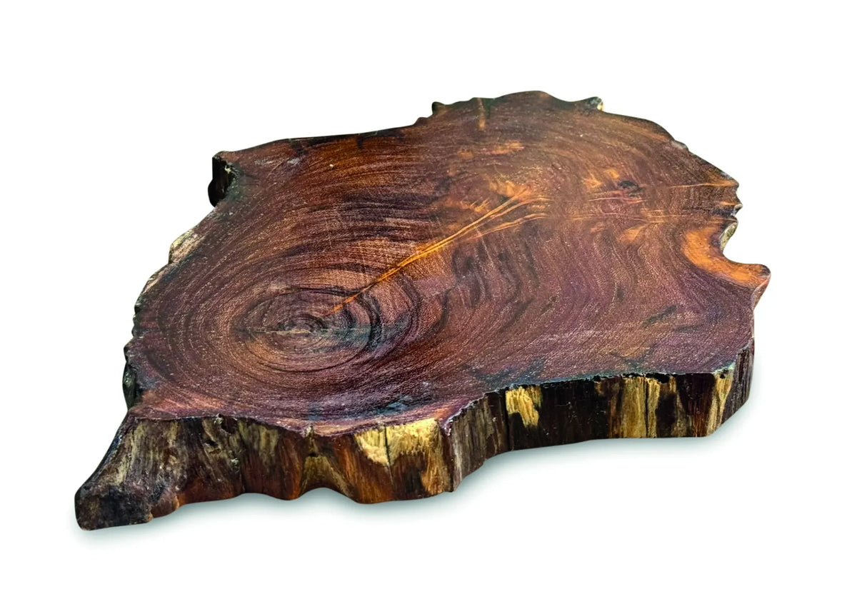 TREE ROOT SLICE PLACEMATS SMALL SIZE  20-25CM