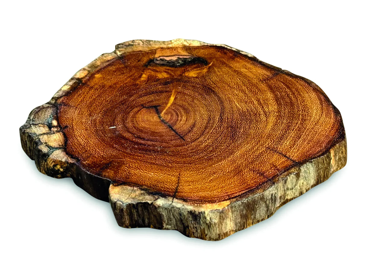 TREE ROOT SLICE COASTER 10-17CM