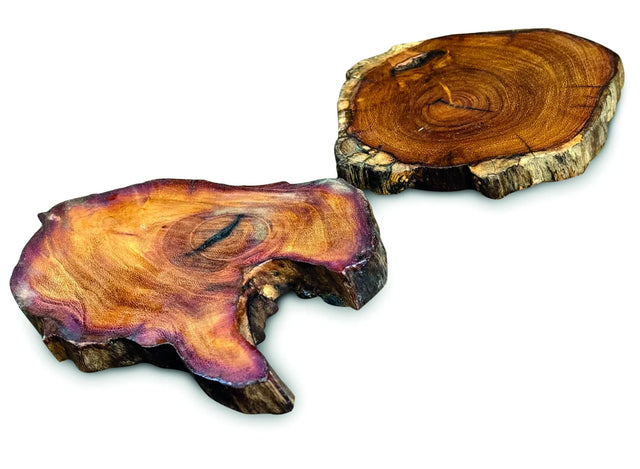 TREE ROOT SLICE COASTER 10-17CM