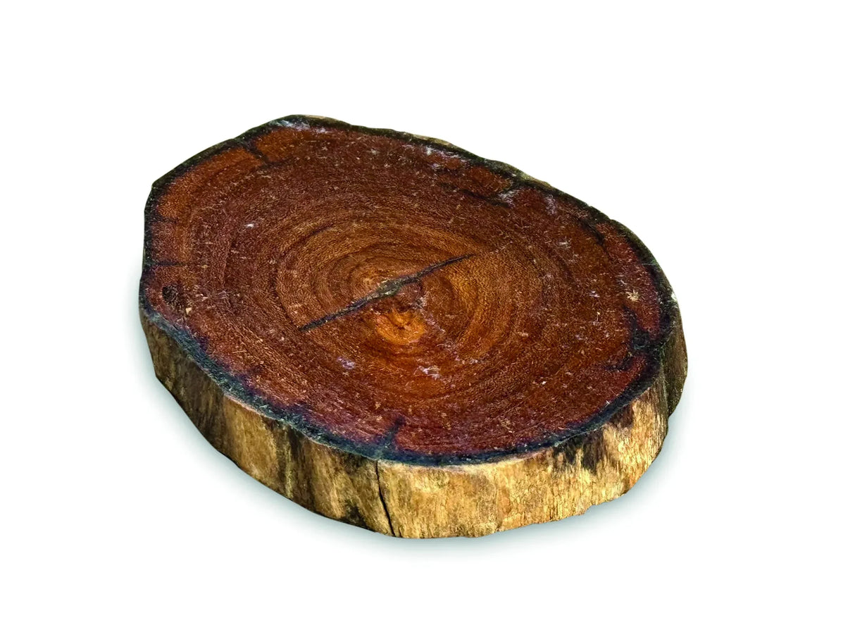 TREE ROOT SLICE COASTER 10-17CM