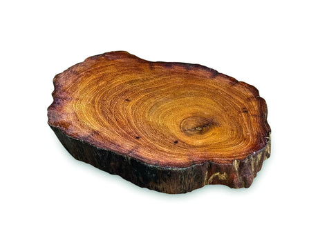 TREE ROOT SLICE COASTER 10-17CM