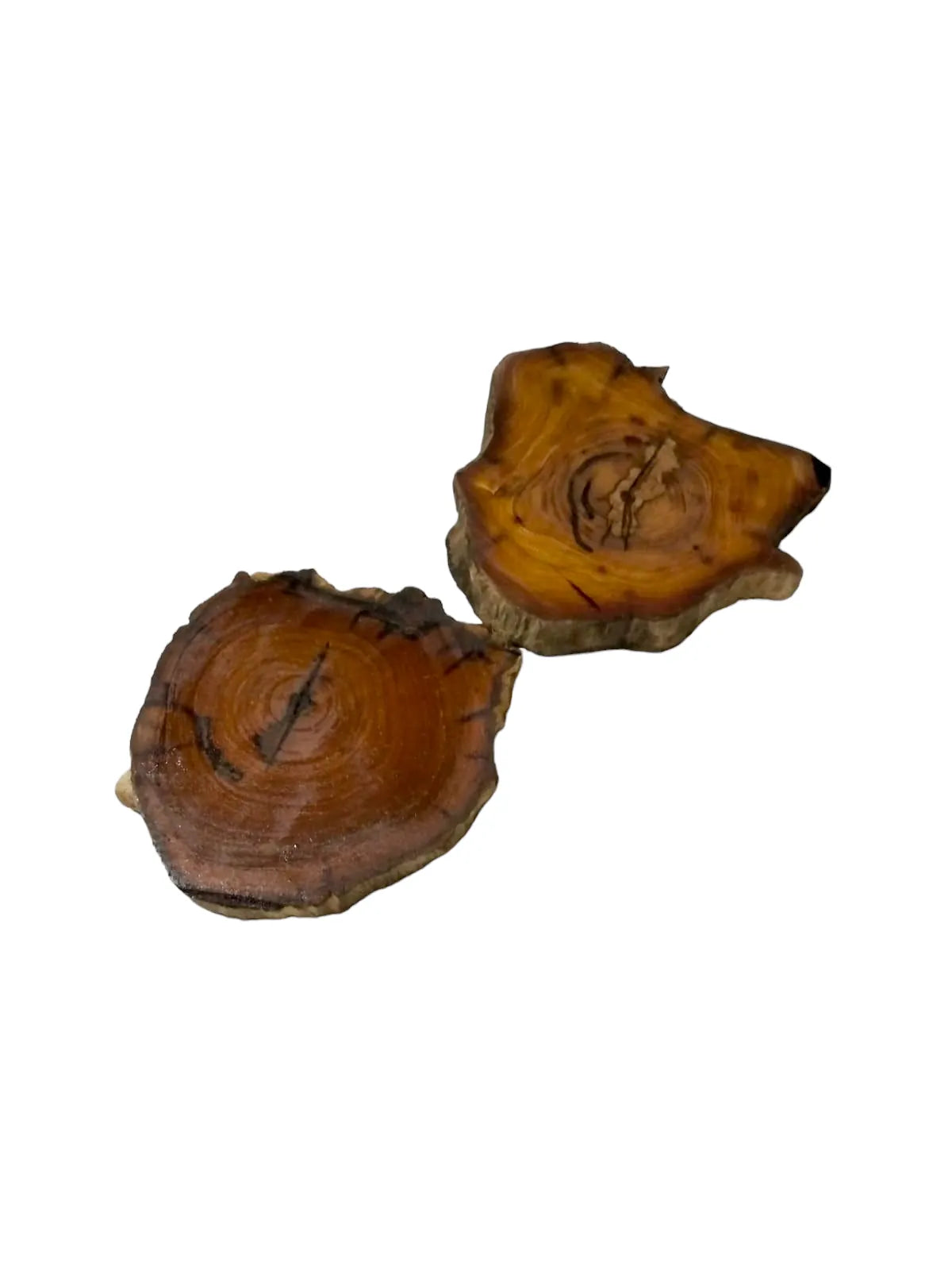 TREE ROOT SLICE COASTER 10-17CM