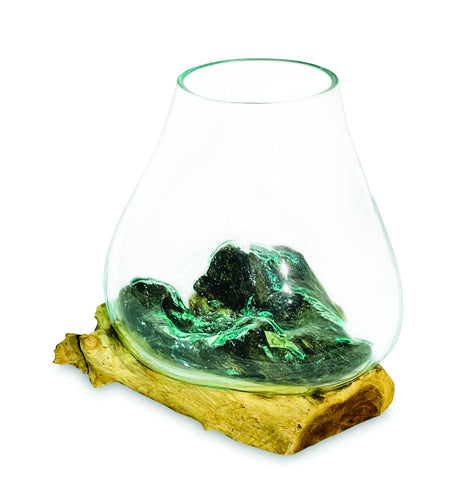 ROOT WITH GLASS BOWL MEDIUM