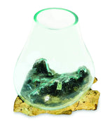 ROOT WITH GLASS BOWL MEDIUM